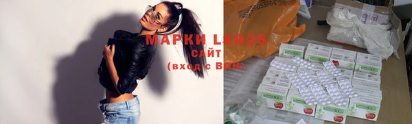 хмурый Алзамай