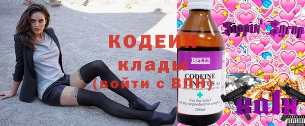 хмурый Алзамай