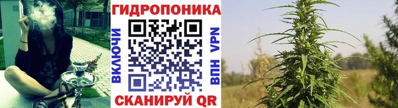 Бошки марихуана White Widow даркнет состав Красноуфимск ОМГ ОМГ зеркало